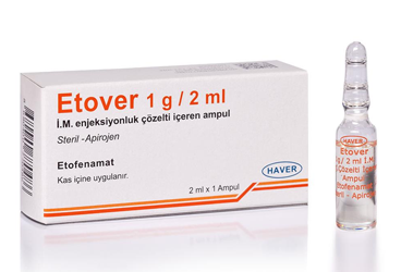 ETOVER 1 G/2 ML IM ENJEKSIYONLUK ÇÖZELTI IÇEREN AMPUL,1AMPUL