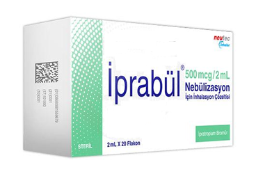 İPRABÜL 500 MCG/2 ML NEBÜLİZASYON İÇİN İNHALASYON ÇÖZELTİSİ, 20 ADET