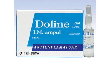 DOLINE IM 1 G/2 ML ENJEKSİYONLUK ÇÖZELTİİÇEREN AMPUL, 1 ADET