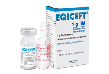 EQICEFT 1 G IM ENJEKSİYONLUK ÇÖZELTİ HAZIRLAMAK İÇİN TOZ, 1 ADET
