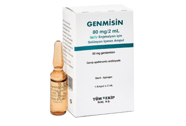 GENMISIN 80 MG IM/IV ENJEKSİYONLUK ÇÖZELTİ, 1 ADET